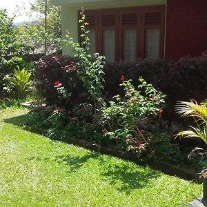 https://jayawimana.kandyhotelsnow.com